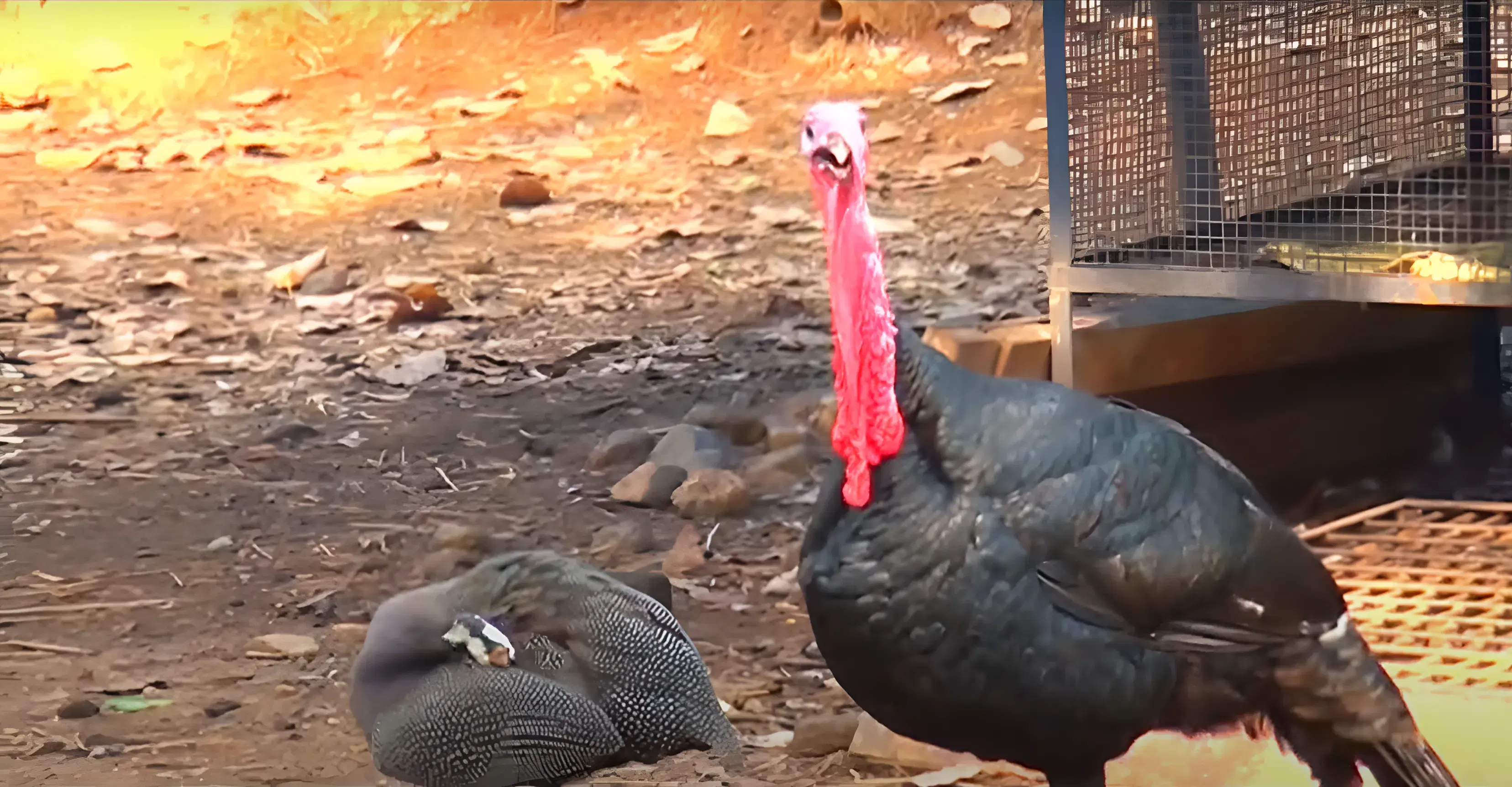 LEAD College of Management Palakkad Academic Infrastructure photo 5